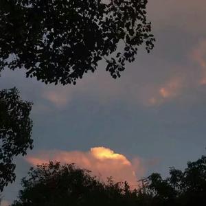 两男一女舔下面的小说视频
